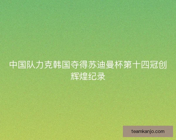 中国队力克韩国夺得苏迪曼杯第十四冠创辉煌纪录