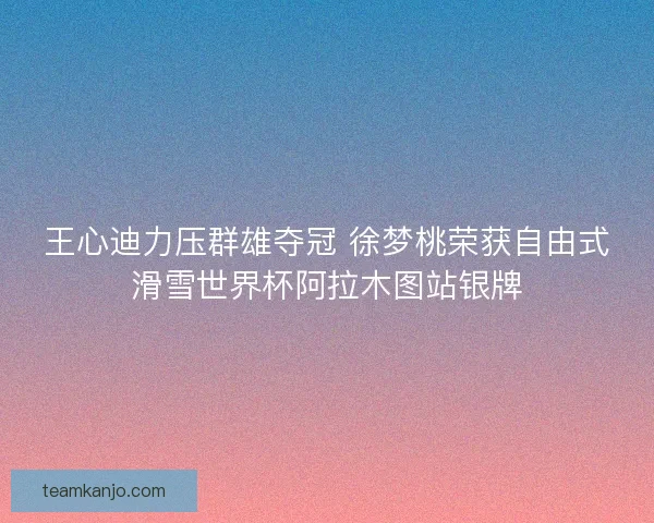 王心迪力压群雄夺冠 徐梦桃荣获自由式滑雪世界杯阿拉木图站银牌